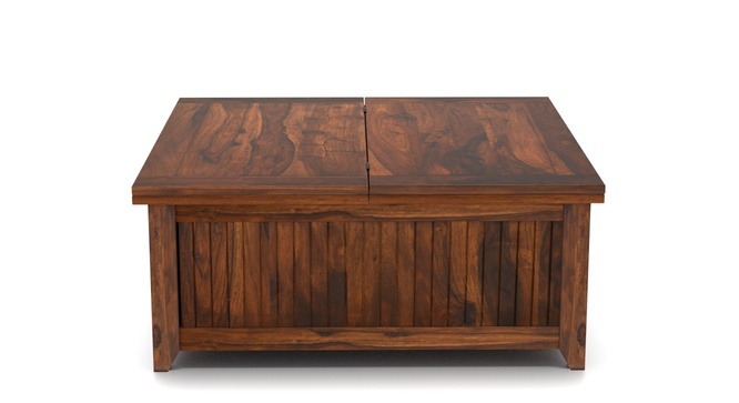 Rhibose Storage Coffee Table(Teak)